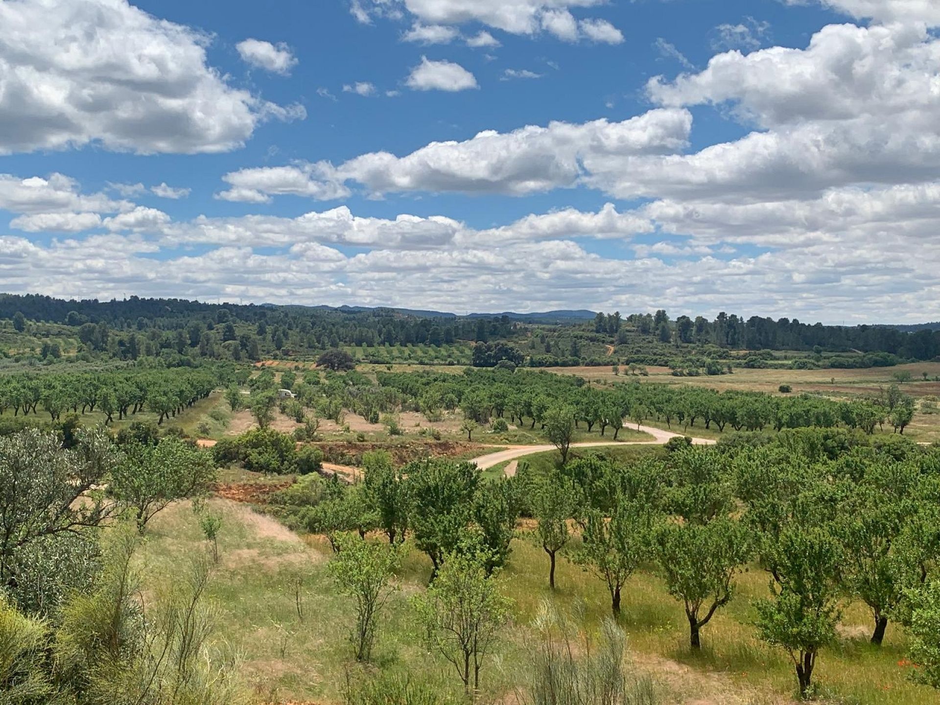 Rural plot from Alicante Dream Homes listing GM4198 in Ayora Valley