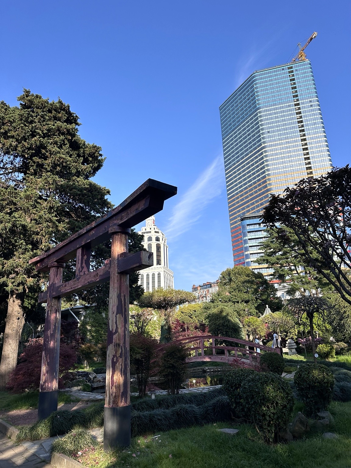 Modern Batumi seen from the city gardens.